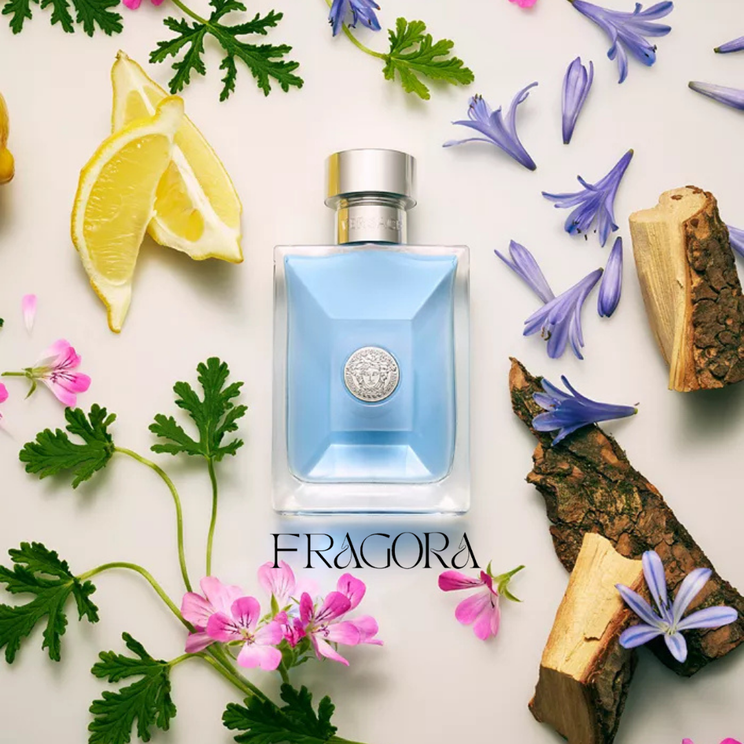Versace Dylan Blue, Versace Man Eau Fraiche & Versace Pour Homme