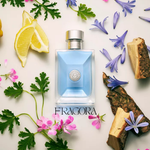 Versace Dylan Blue, Versace Man Eau Fraiche & Versace Pour Homme