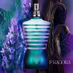 Le Male, Dior Sauvage, Invictus & 212 Men