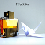 Loewe™ | Solo Loewe