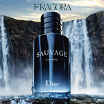 Dior Sauvage, Versace Eros, Le Beau Le Parfum & Santal 33