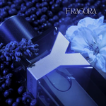 Yves Saint Laurent™ | Y