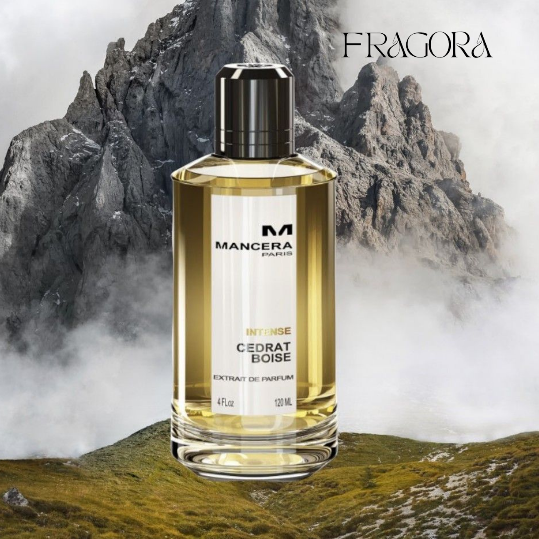 Mancera™ | Cedrat Boise