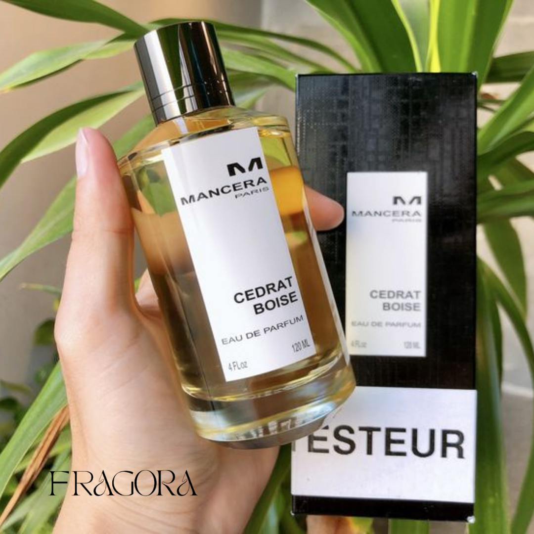 Mancera™ | Cedrat Boise